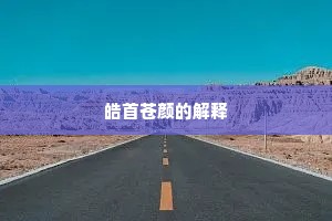 皓首苍颜的解释