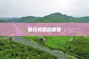 鹤行鸡群的解释