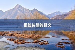 恨如头醋的释义