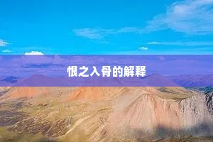 恨之入骨的解释