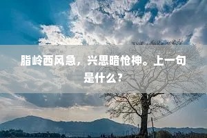 西山高与南山接，剩有当时却老丹。的解释