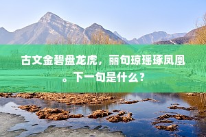 金经尤有延年诀，未数庄椿寿八千。下一句是什么？