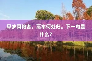 而今帝母两怡愉，莫忘九疑山上侣。下一句是什么？