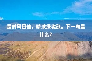 奈少年、自有新愁旧恨，消遣无计。的意思及出处