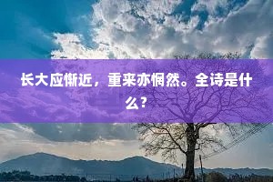 明火执械的释义