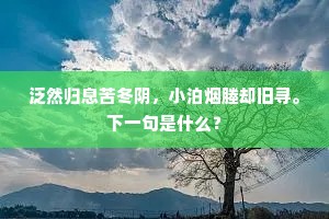 不知墙外夜来梅，忍寒添得疏花否。下一句是什么？