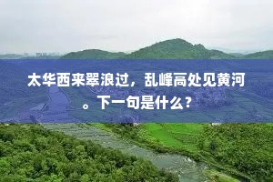 莫可名状的成语解释