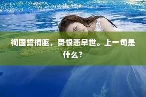 莫衷一是的成语解释