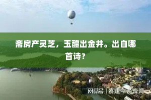 炉猊筝雁长闲却，明月楼心夜正寒。下一句是什么？