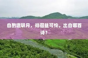 王孙好客成巢饮，故翦繁枝簇画堂。的意思及出处