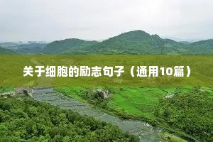 经典句子 励志（精选10篇）