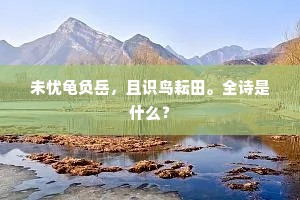 渺渺予怀，迢迢良夜，三十六陂风。下一句是什么？