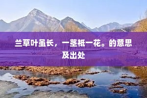 可惜许、月明风露好，恰在人归后。的意思及出处