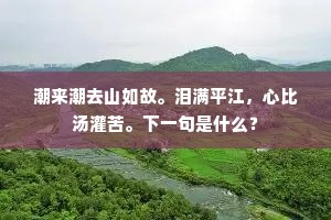 鸣雁直木的成语解释