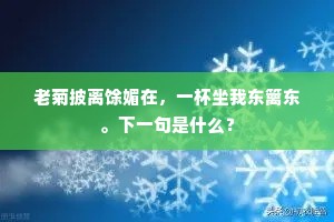 目中无人的成语解释