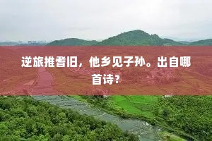 叹佺巢蜀锦，常时不数，前度何稠。的解释