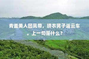 正小雨初收，余寒未放，怯试单衣。下一句是什么？
