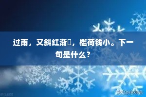 颜子操中何足怨，醉翁徽外无人续。的意思及出处