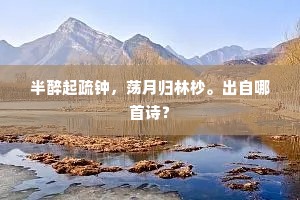 问梅何事，对岩东微笑，暗中轻馥。全诗是什么？