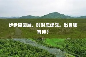 淡薄相依，行藏自适，一片松阴外。下一句是什么？