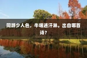 试问天公借月，天须放、明月教圆。全诗是什么？