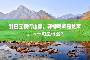 便和那、八八机关，并将匙钥分付。的释义