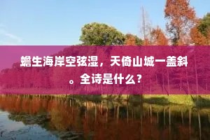 遥想十洲三岛，对冰轮、寒光依旧。的解释