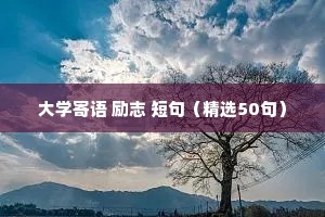 周一早安励志语录正能量（精选8篇）