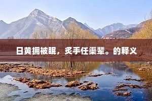 目治手营的成语解释