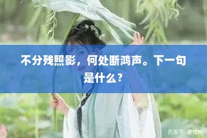 南航北骑的释义