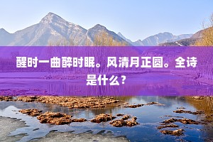 南征北伐的释义