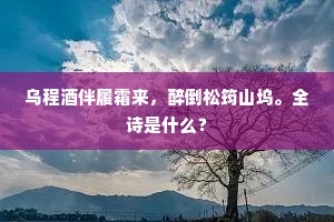 未论耸壑昂霄事，且与衰翁慰暮年。上一句是什么？