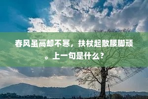 惆怅别离无奈，整孤帆、依然回顾。出自哪首诗？