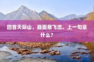 便瘴雨、蛮烟如许，淡妆也不随时。的解释