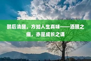 醉后清醒，方知人生真味——酒醒之痛，亦是成长之课