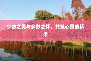少数之勇与多数之怀，共筑心灵的桥梁