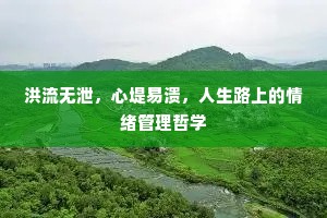 洪流无泄，心堤易溃，人生路上的情绪管理哲学