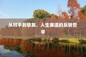 从对手到挚友，人生赛道的反转哲学