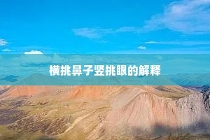 横挑鼻子竖挑眼的解释
