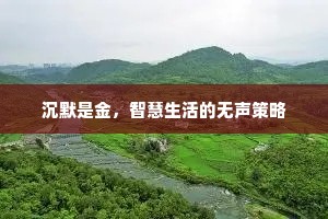 沉默是金，智慧生活的无声策略