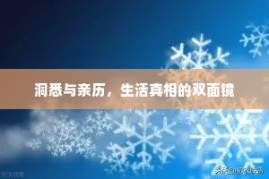 洞悉与亲历，生活真相的双面镜