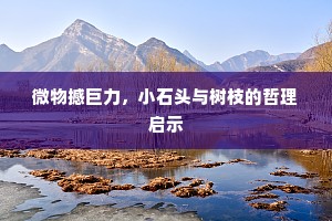 微物撼巨力，小石头与树枝的哲理启示