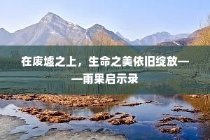 在废墟之上，生命之美依旧绽放——雨果启示录