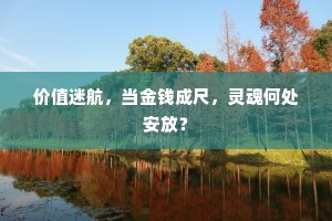 价值迷航，当金钱成尺，灵魂何处安放？