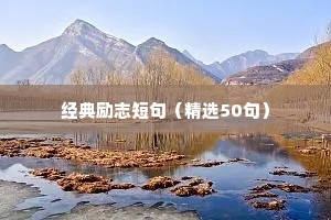 励志情感语录简短正能量（通用8篇）