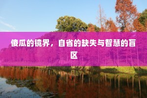 傻瓜的镜界，自省的缺失与智慧的盲区