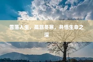 雪落人生，孤旅冬寒，共悟生命之深