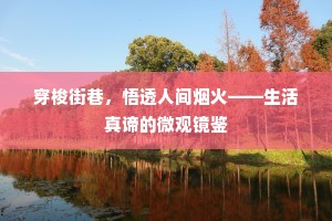 穿梭街巷，悟透人间烟火——生活真谛的微观镜鉴