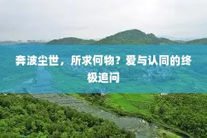 奔波尘世，所求何物？爱与认同的终极追问