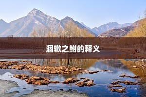 涸辙之鲋的释义